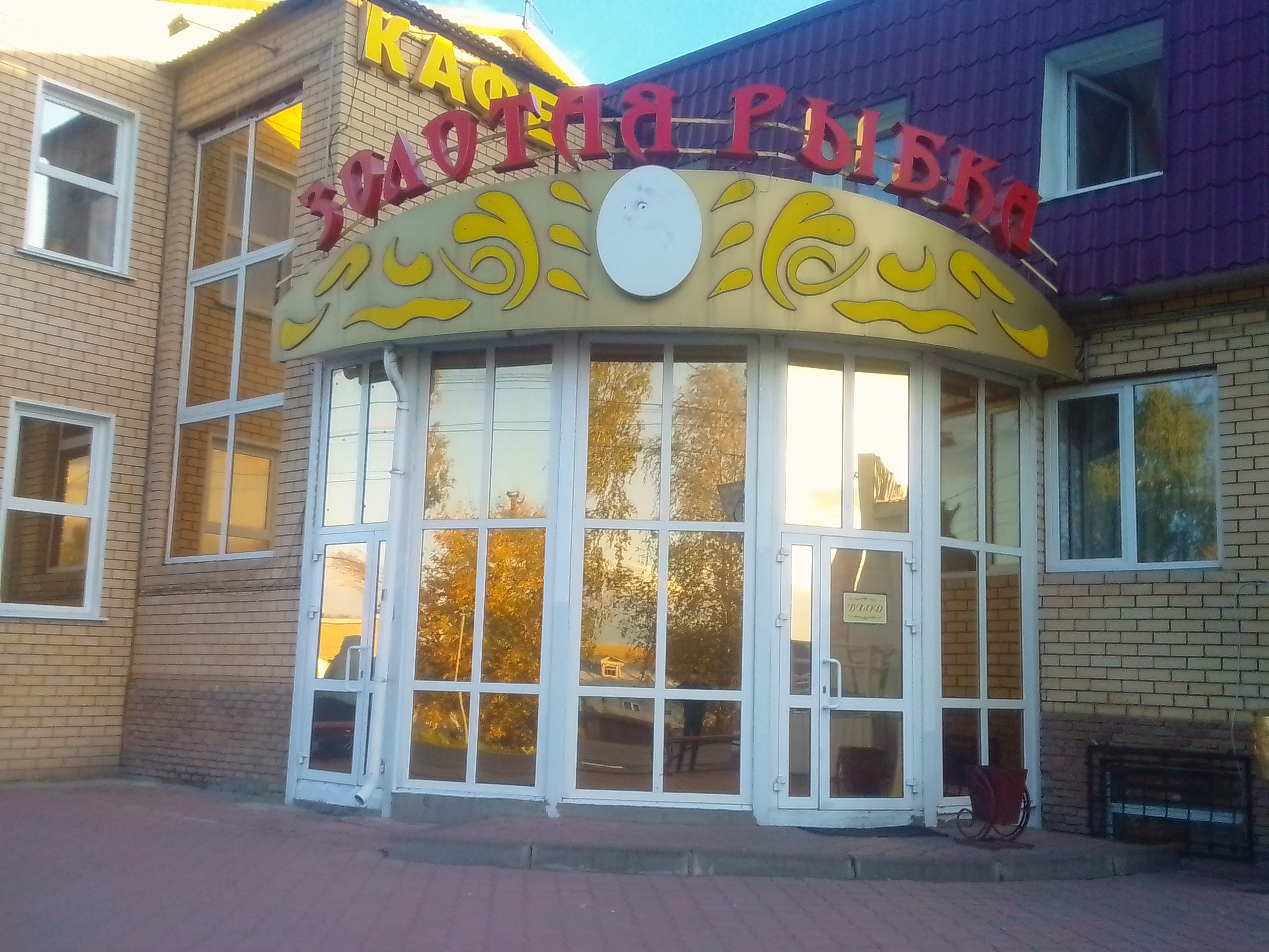 Фото Золотая рыбка