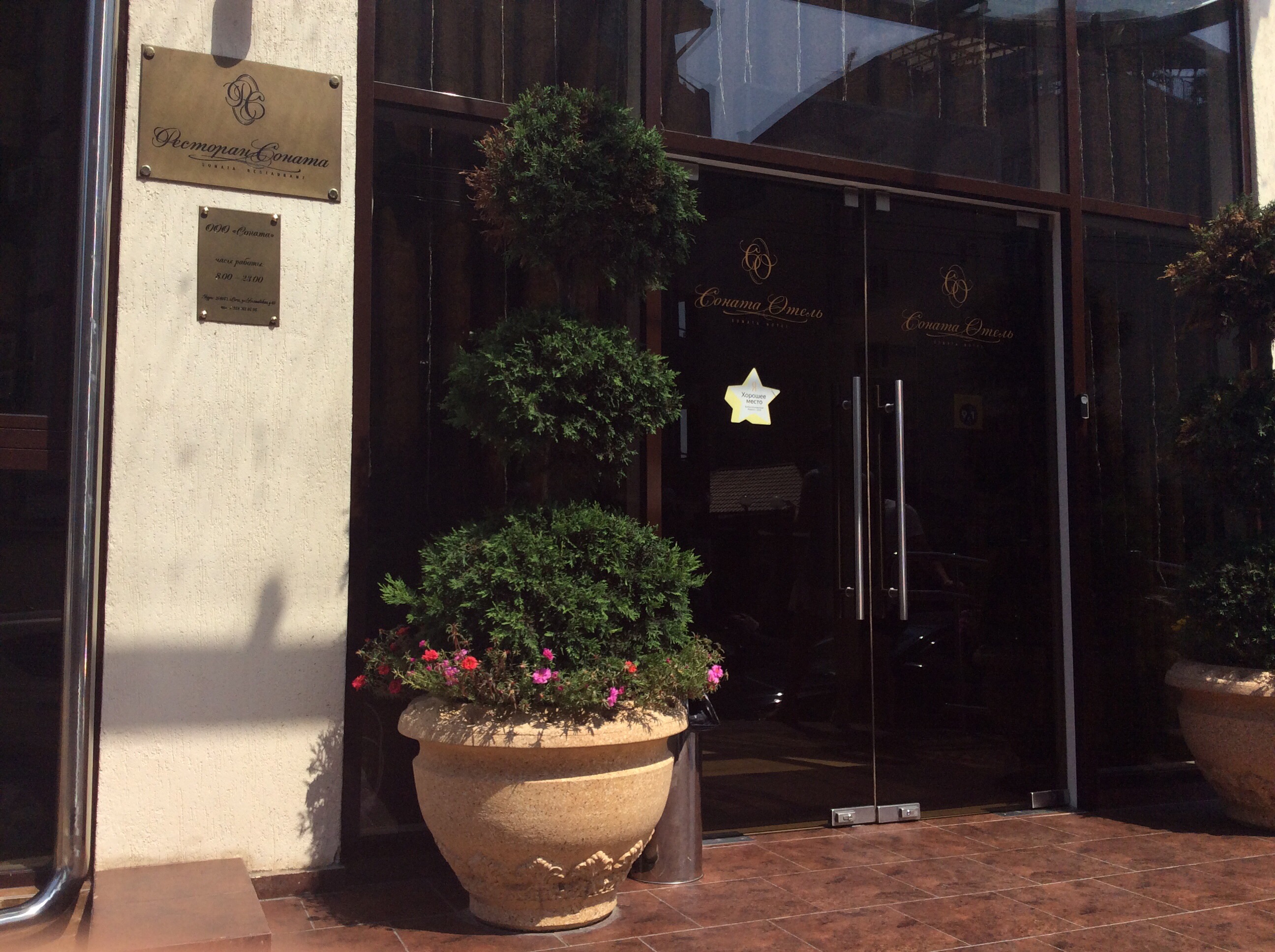 Фото Соната