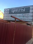 Цветочница (Psekupskaya ulitsa, 65А) ، محل زهور