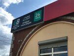 Greenbet (Sportivnaya ulitsa, 6), bookmakers