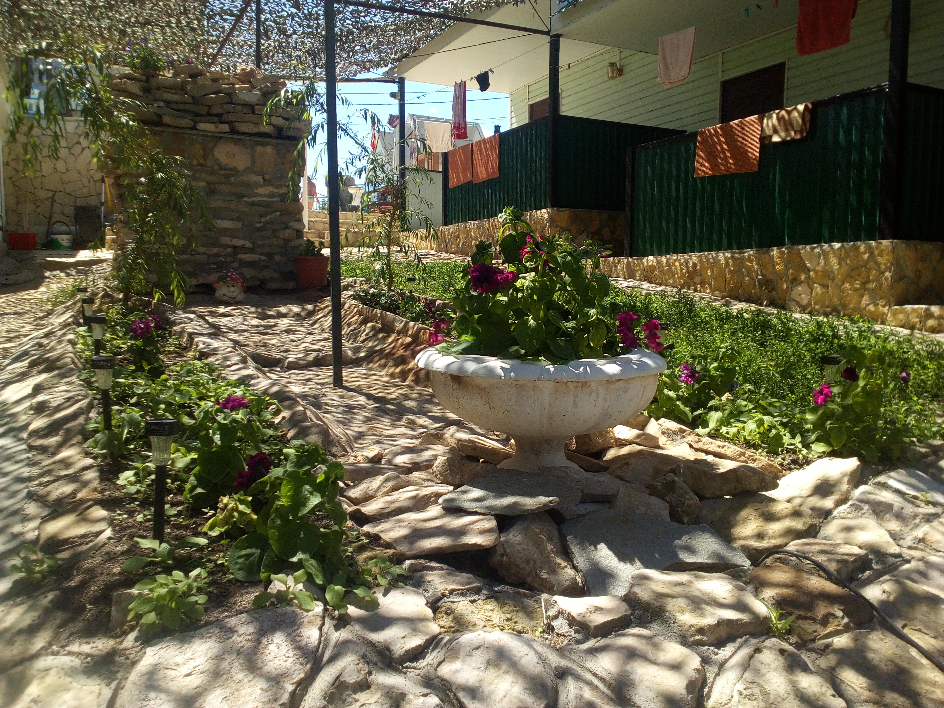 Фото Регион 56