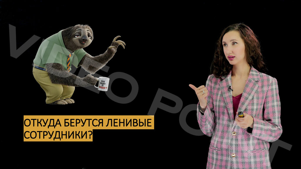 Videography Stream Bridge, Moscow, photo