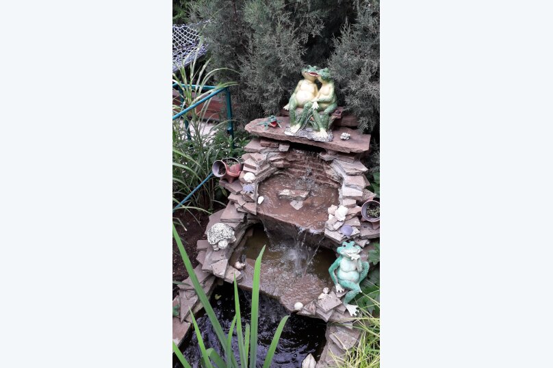 Фото Зелёный дворик