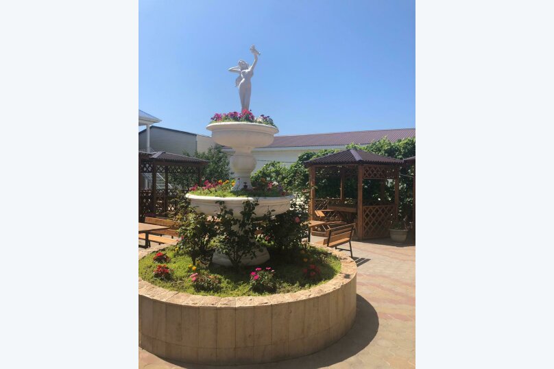 Фото Дельфин