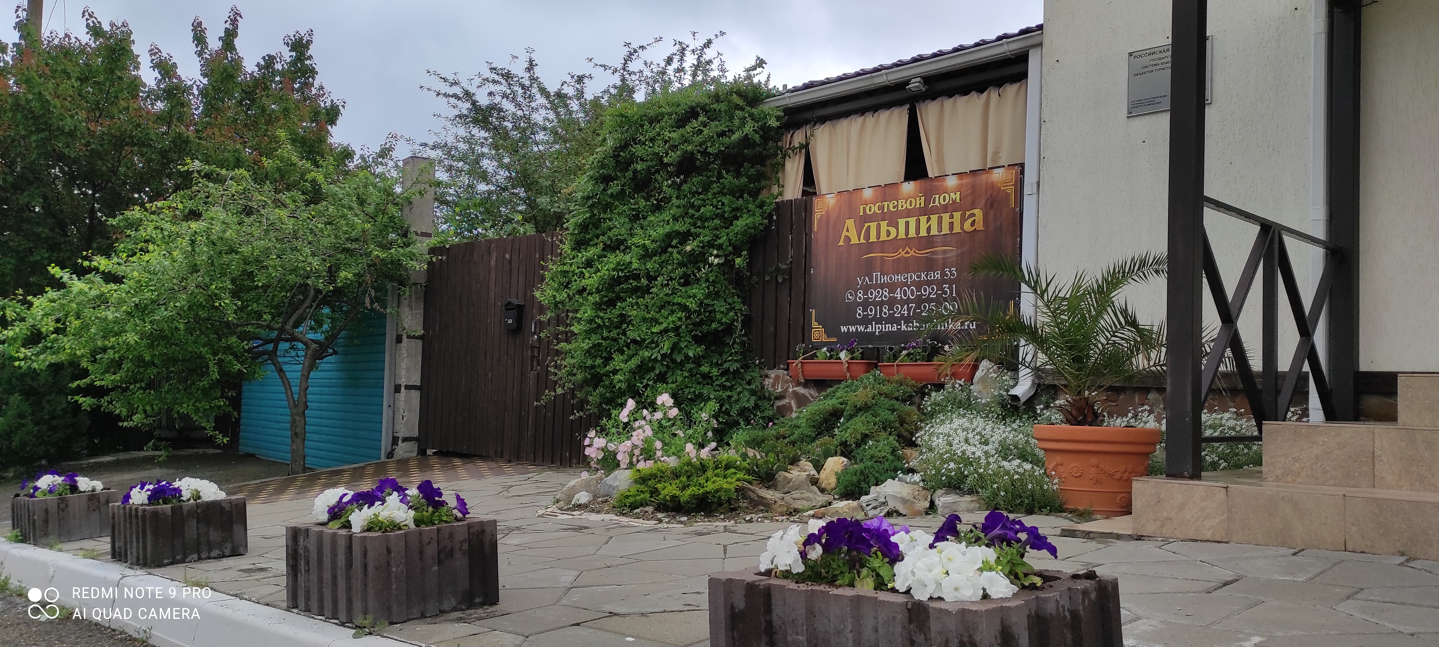 Фото Альпина