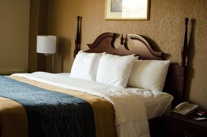 Фото Comfort Inn Atlanta Downtown South