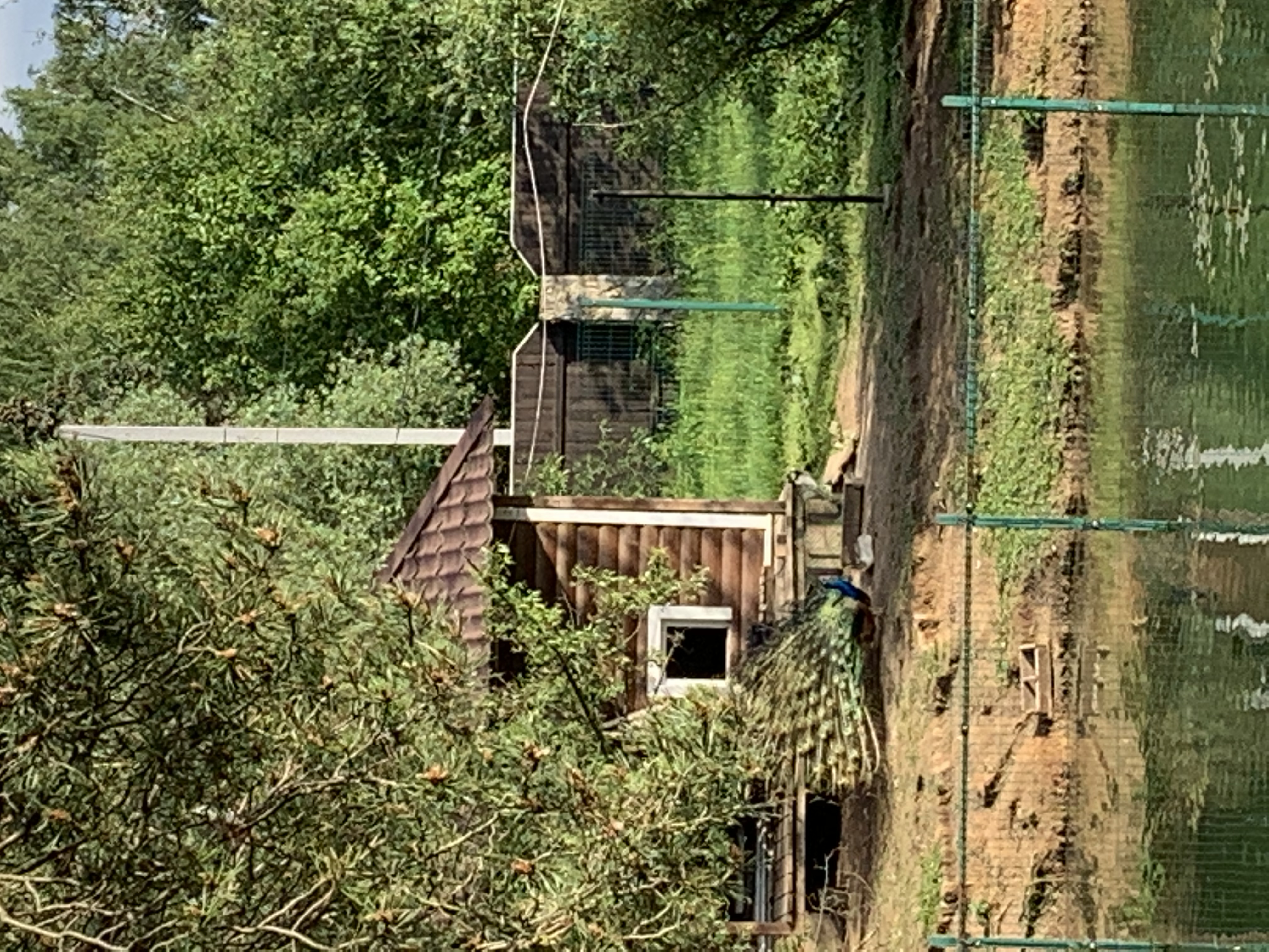 Фото Графские пруды