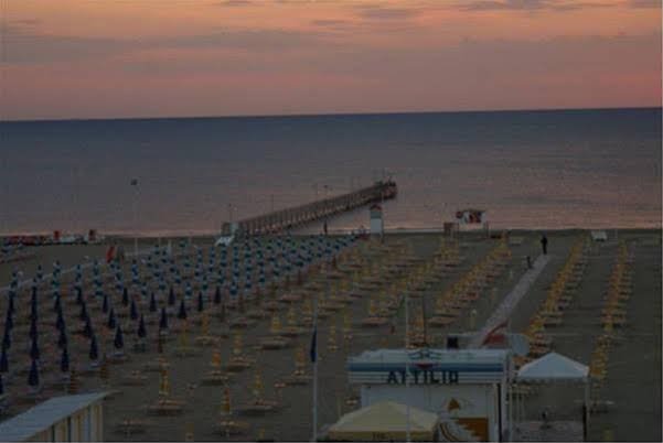 Фото Hotel Nelson