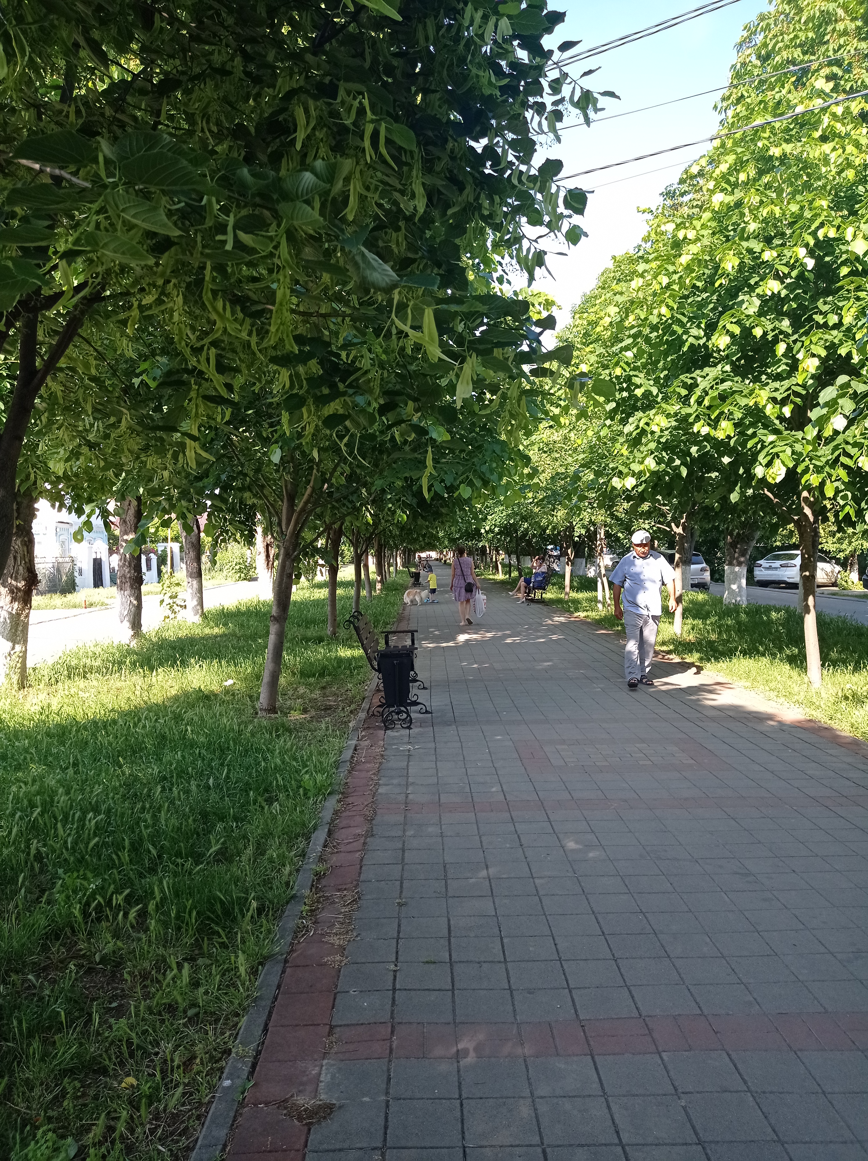 Фото Уютный