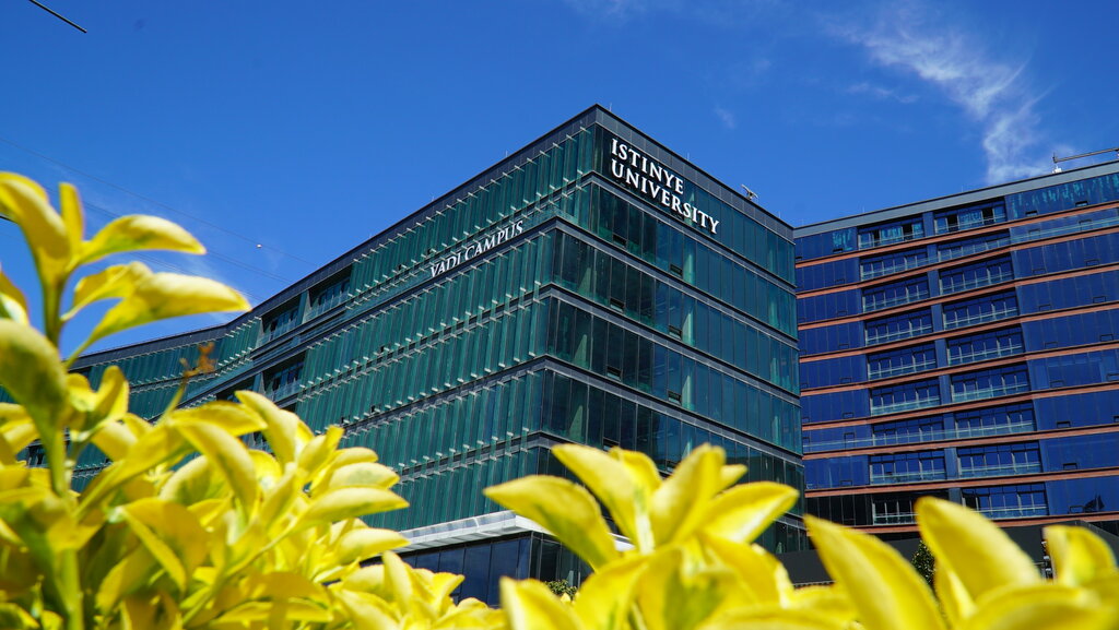 كلية، جامعة Istinye University Valley H Campus ، ، صورة