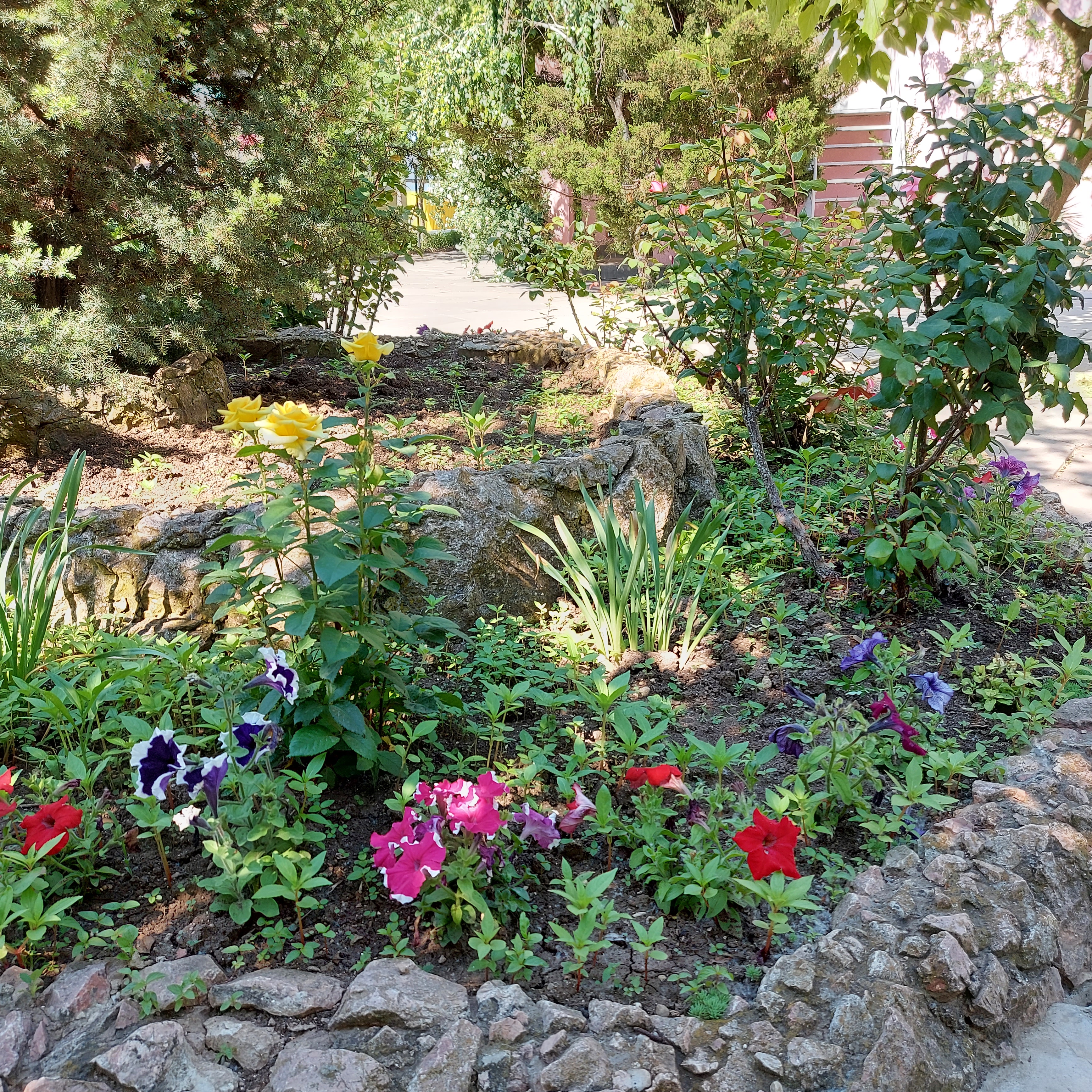 Фото Фрунзенец