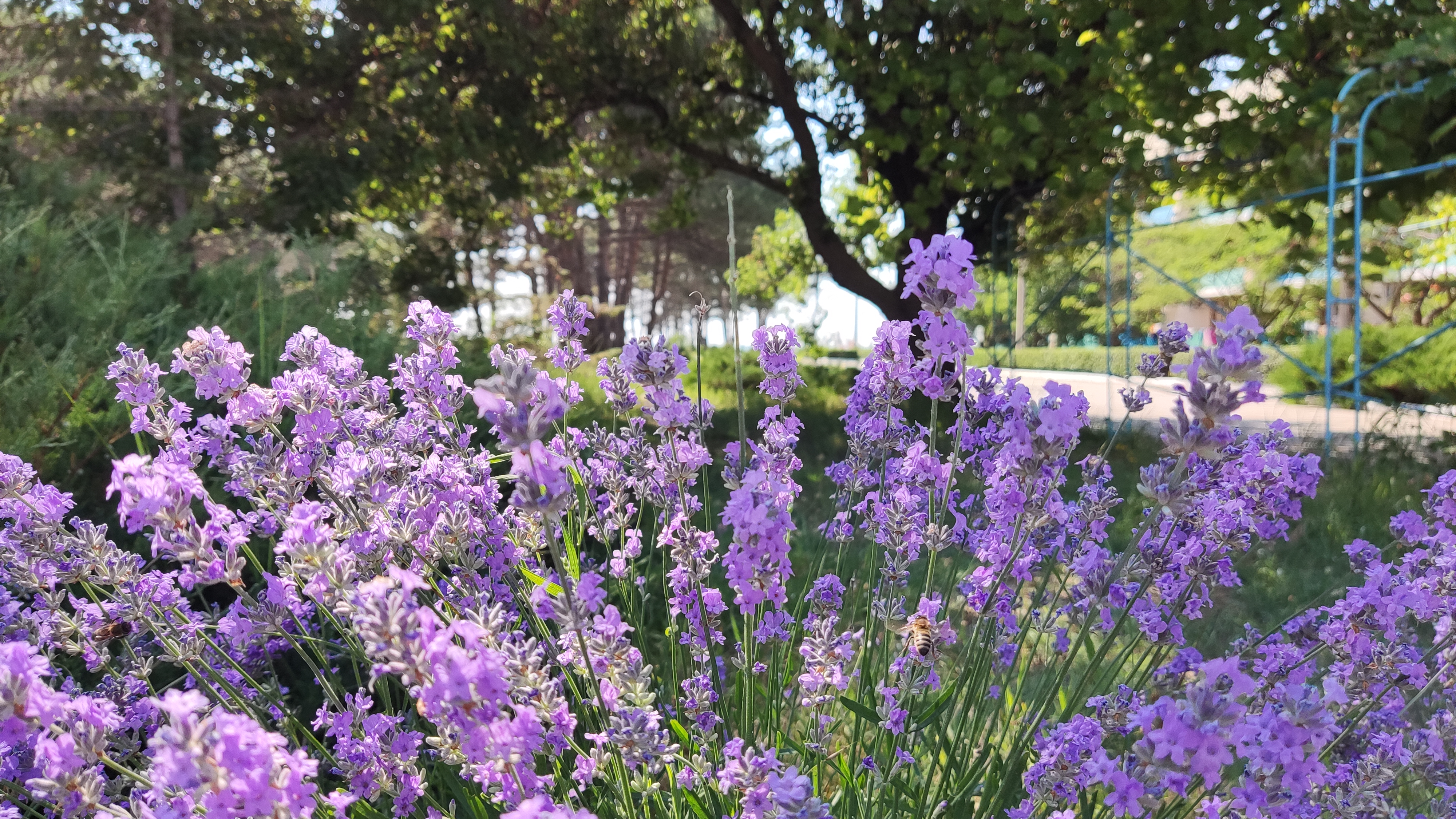 Фото Волна Парк