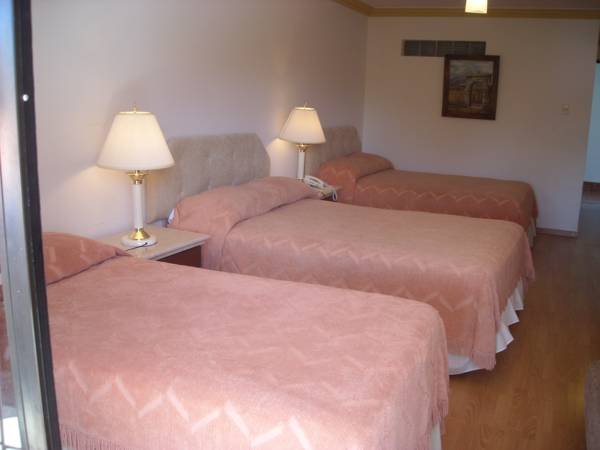 Фото Hotel Los Ceibos