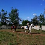 Тёплый стан (Кинель, коттеджный посёлок Радуга, Конный проезд, 41) ، ركوب الخيل