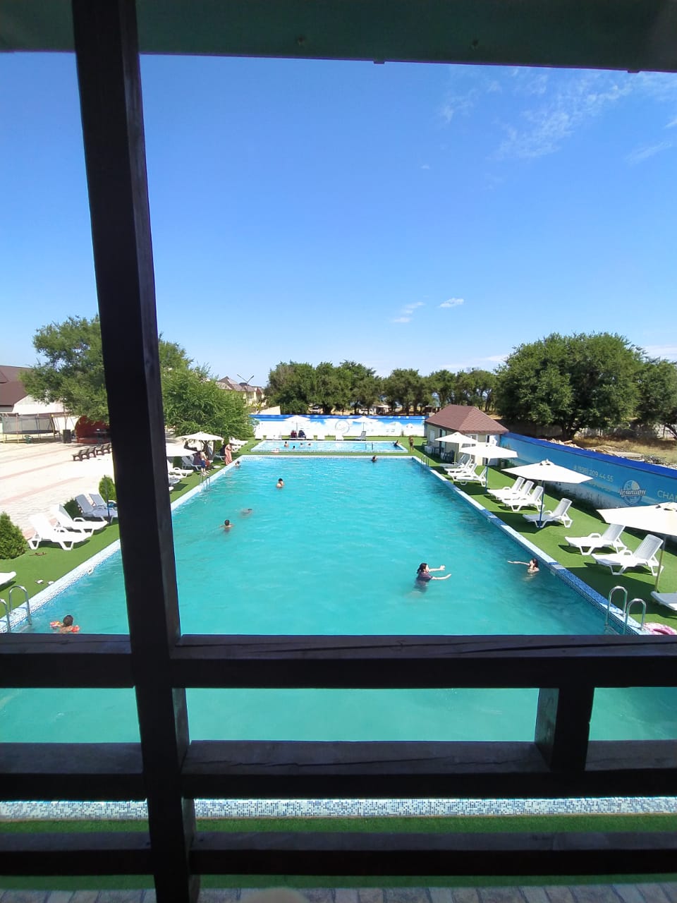 Фото Чемпион