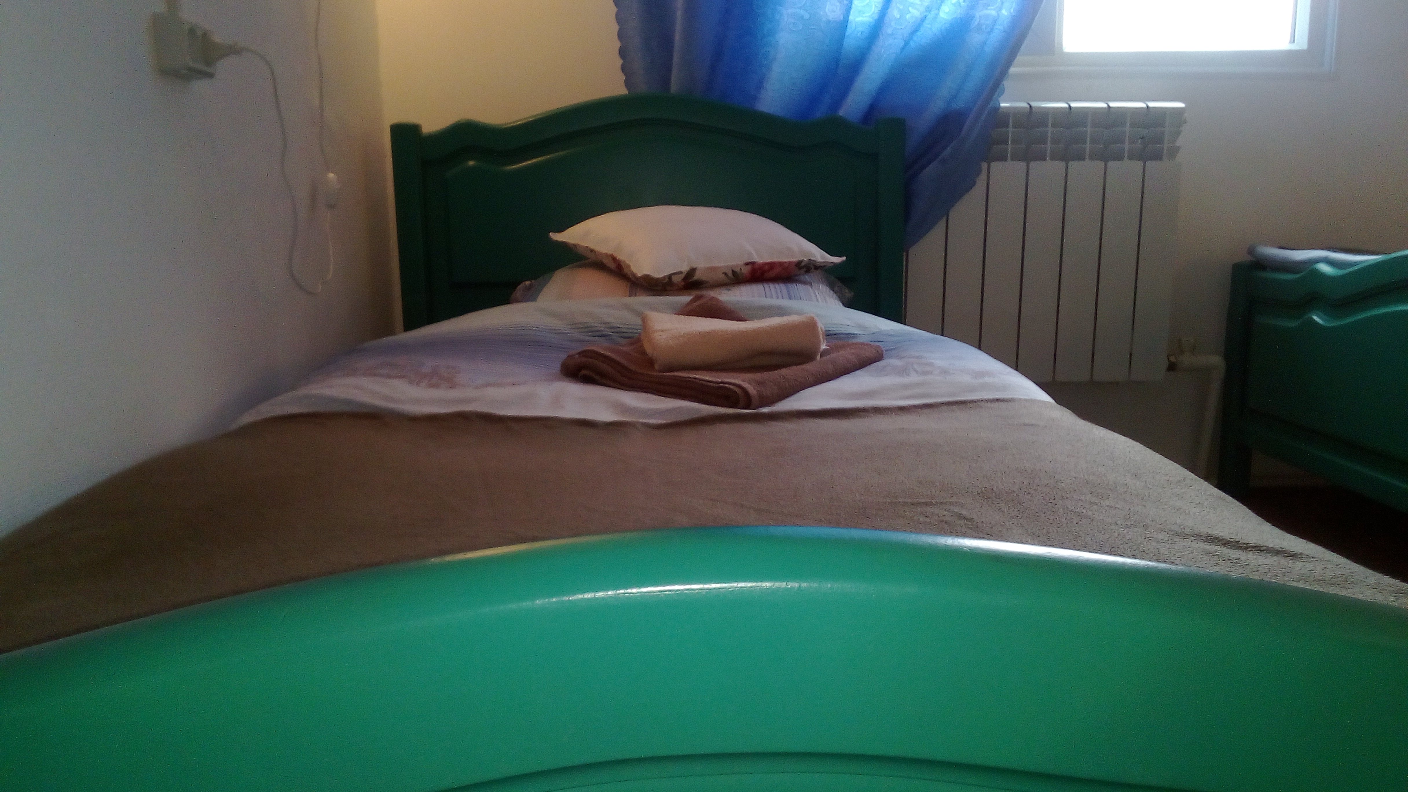 Фото Брусника