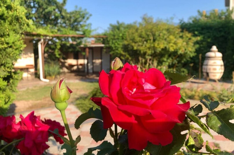 Фото Баунти