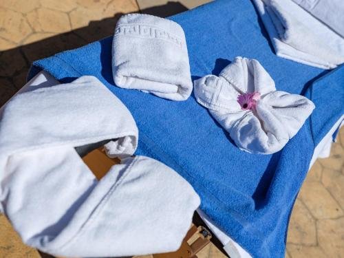 Фото Отель Ciutat Jardi