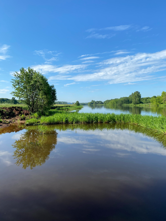 Фото Дункан