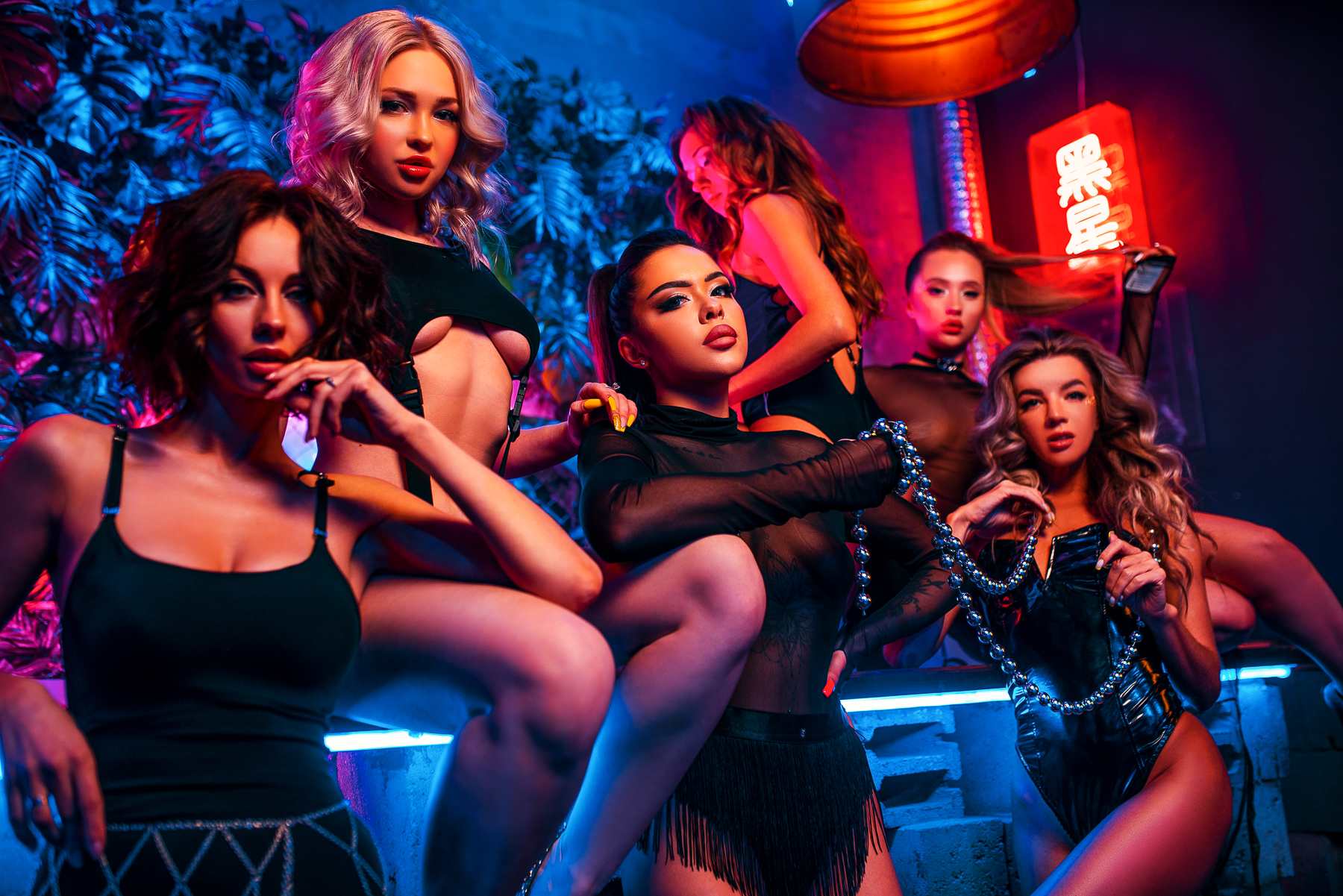 Иттің сиқырын сору