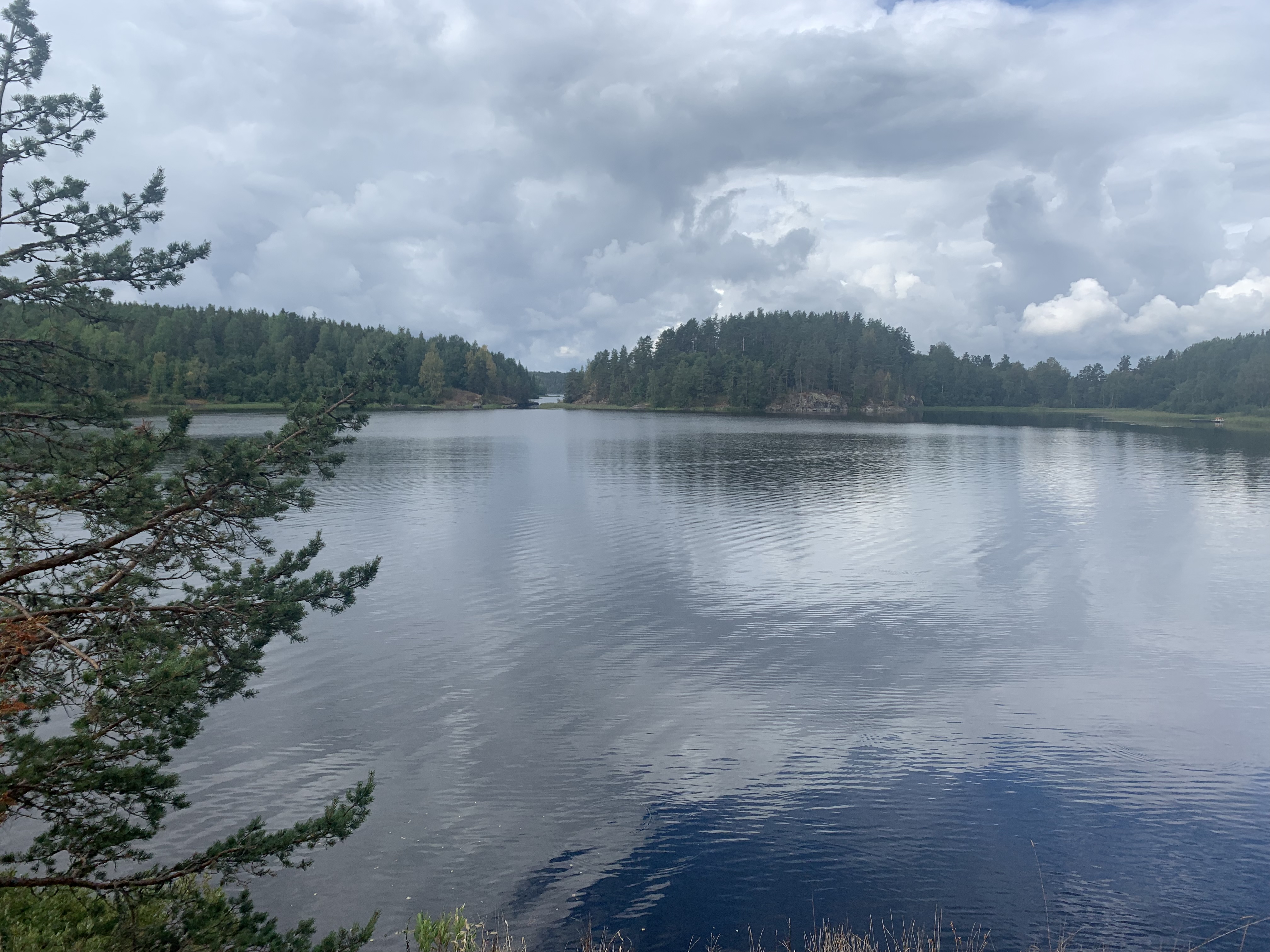 Фото Дивное