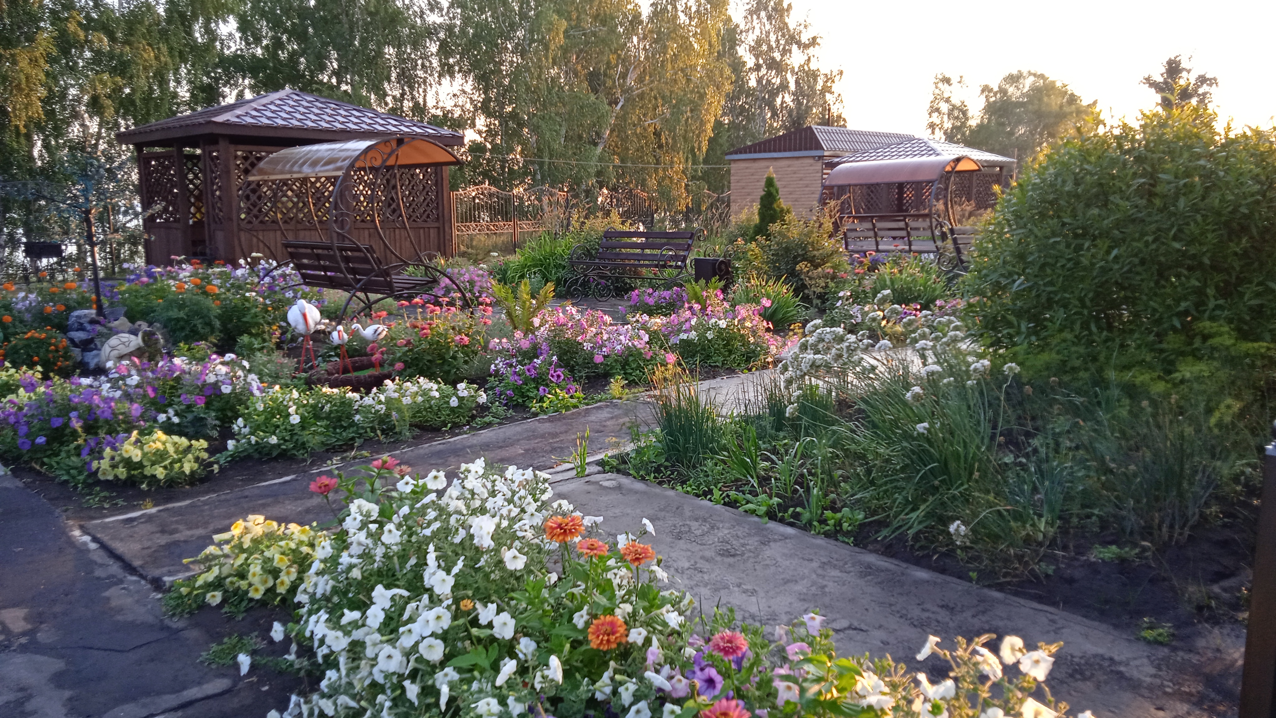 Фото Жемчужина Ика