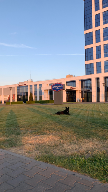 Фото Hampton by Hilton Брест