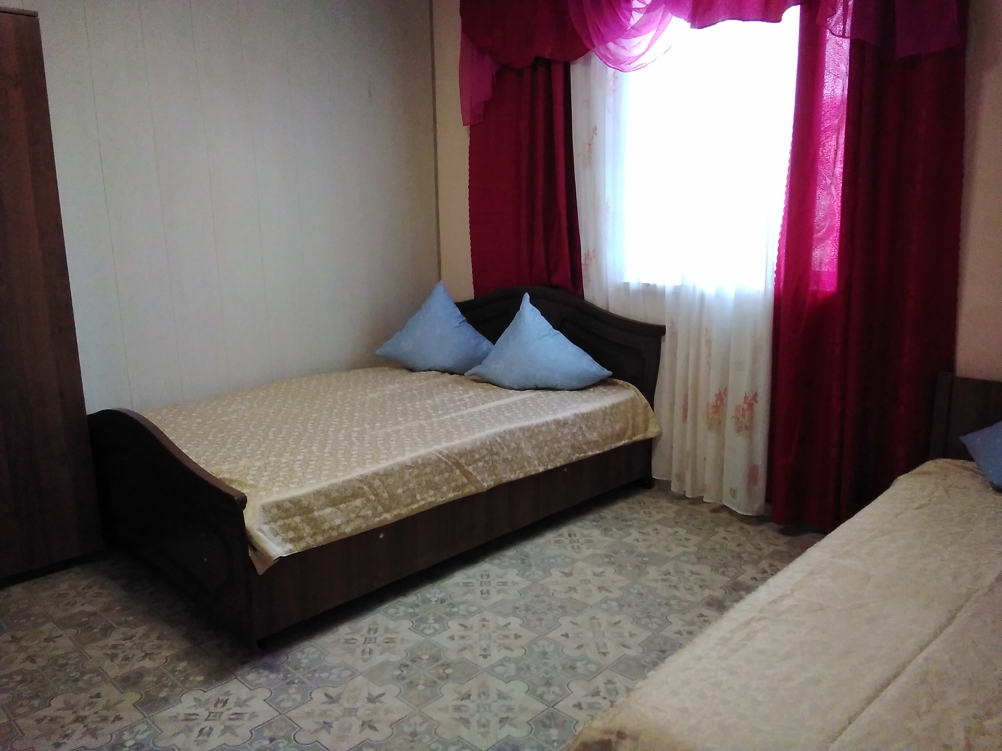 Фото Кипарис