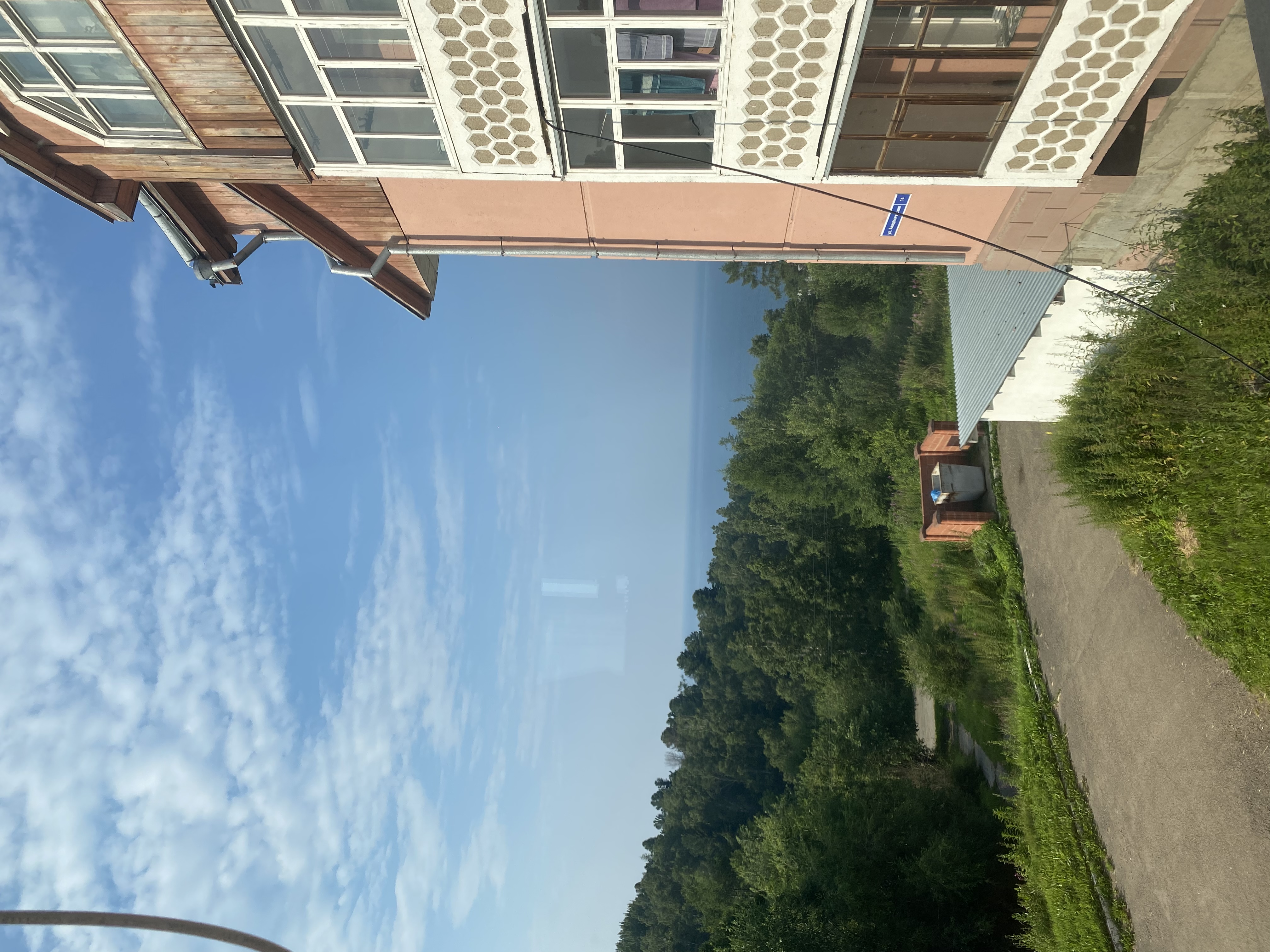 Фото Арабеска 