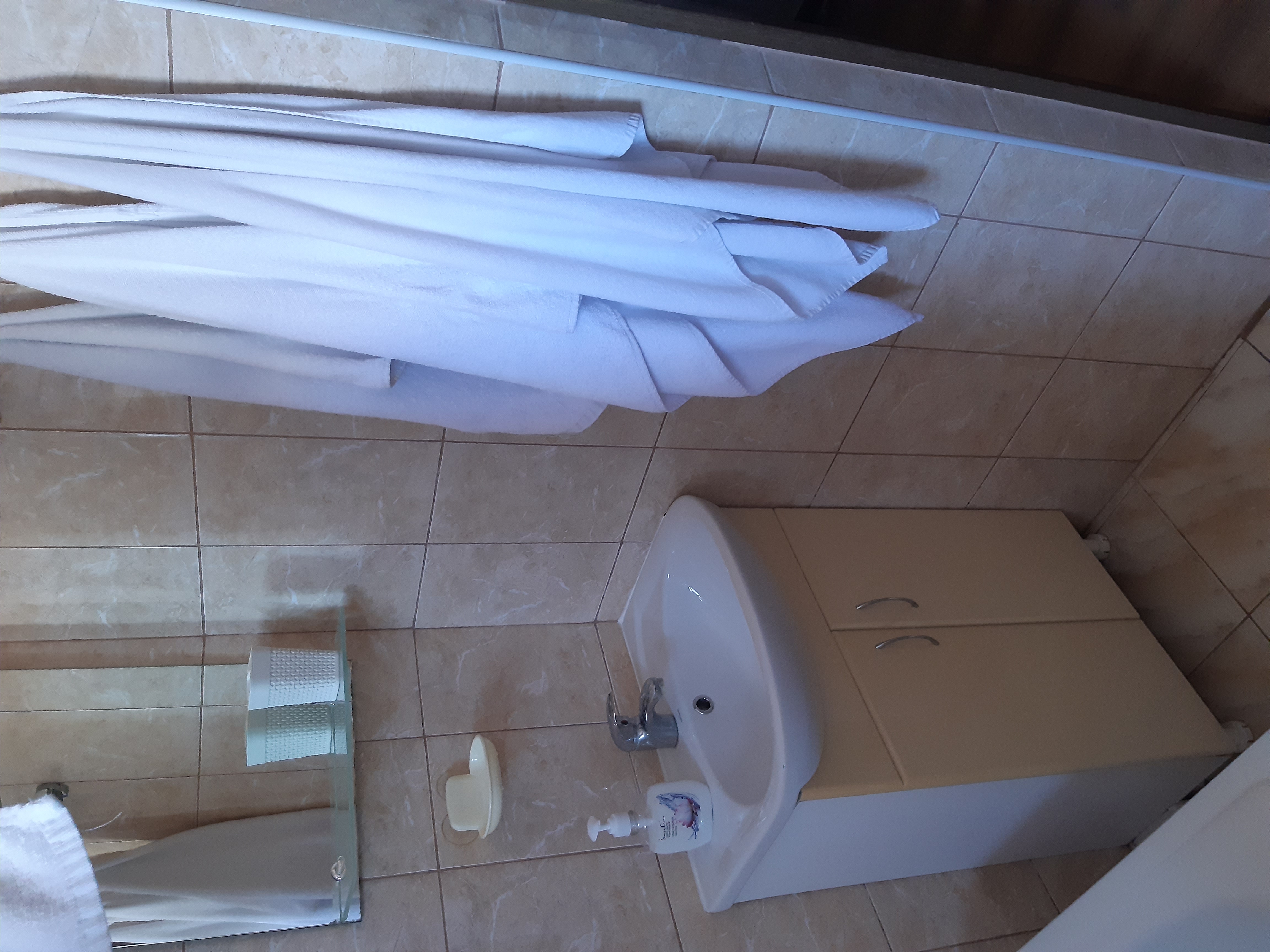 Фото Кипарис