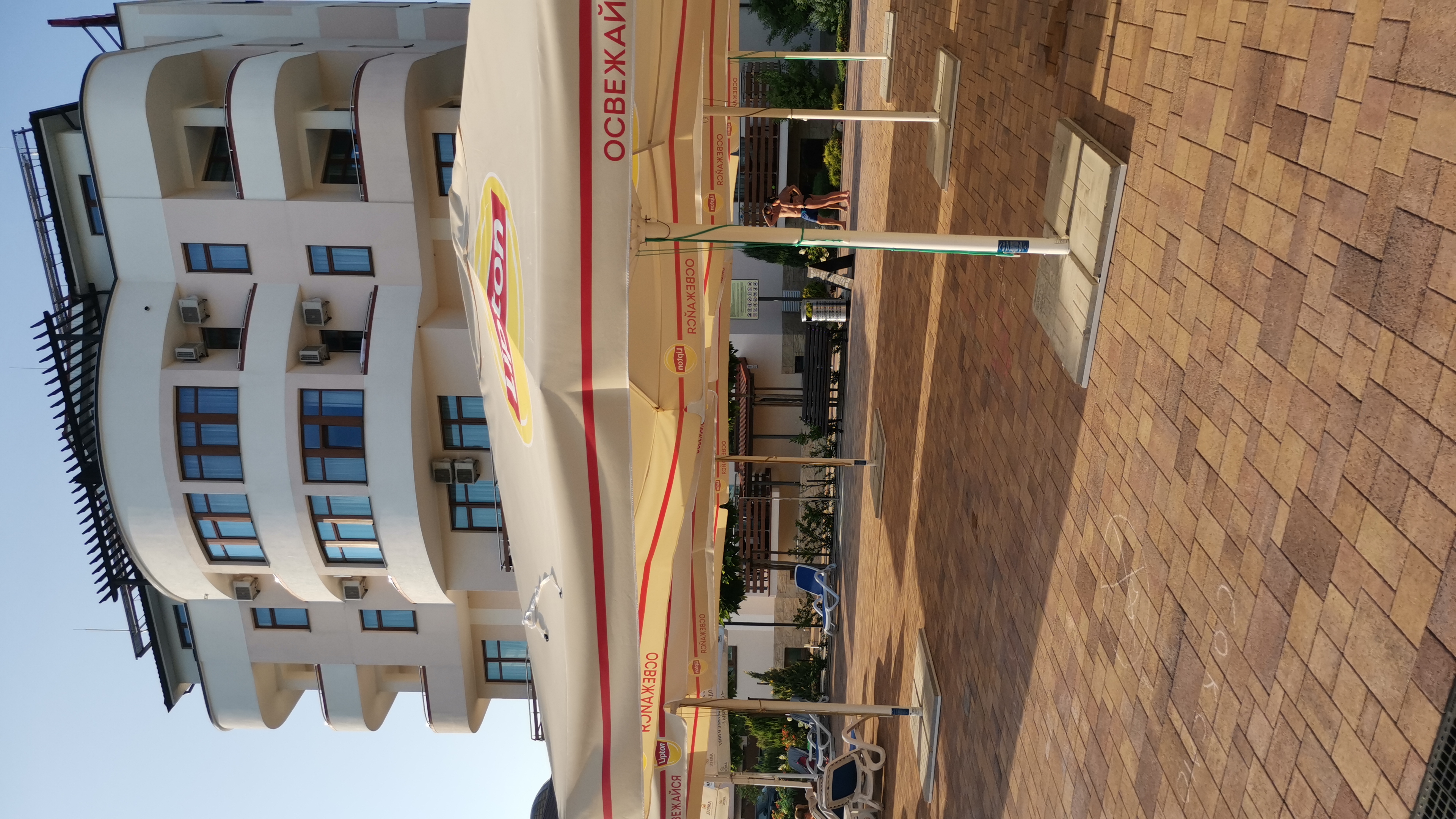 Фото Роза Ветров Новая