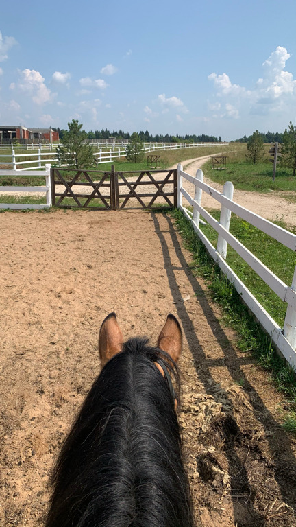 Фото Экоранчо