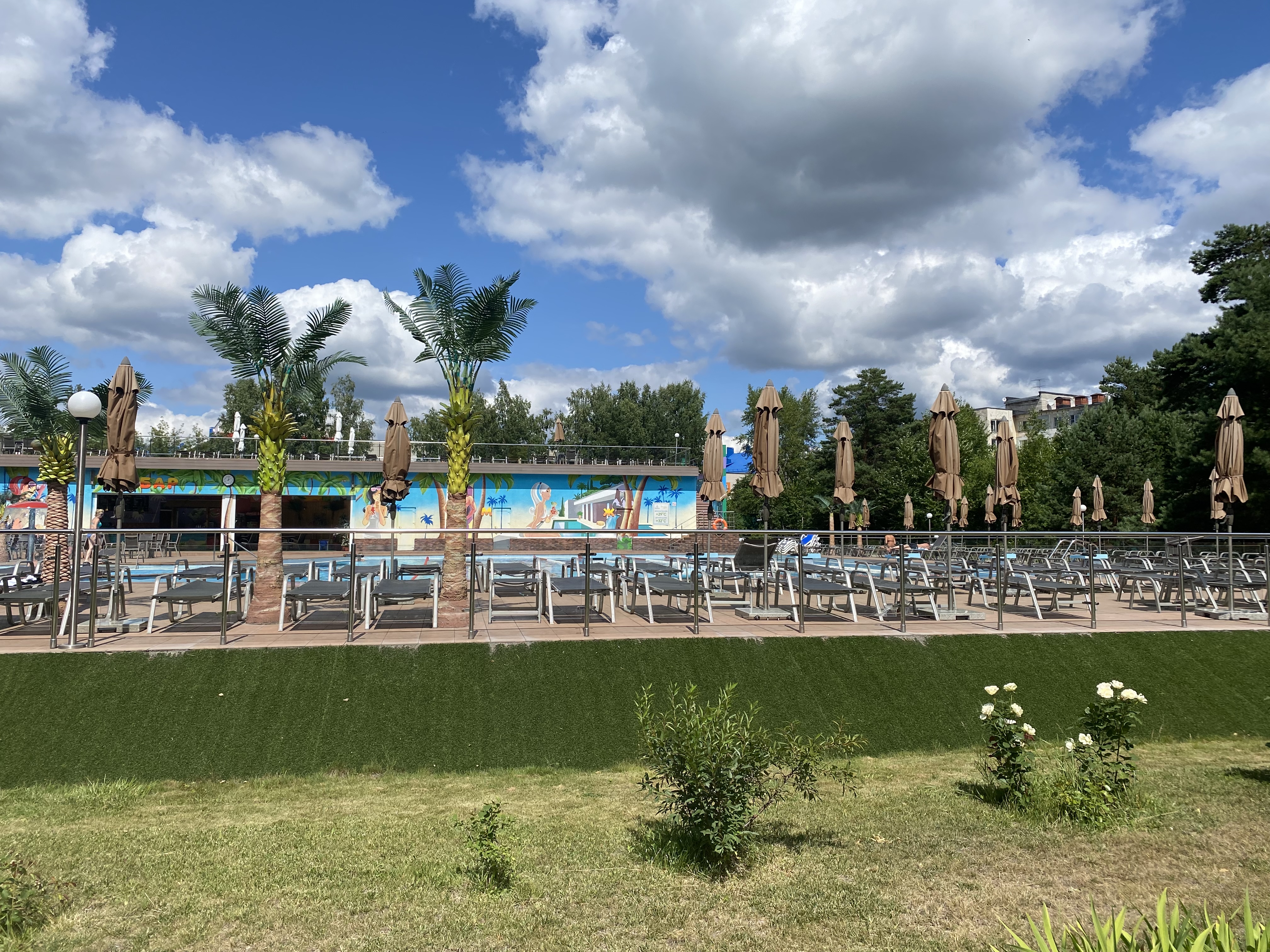 Фото Борвиха