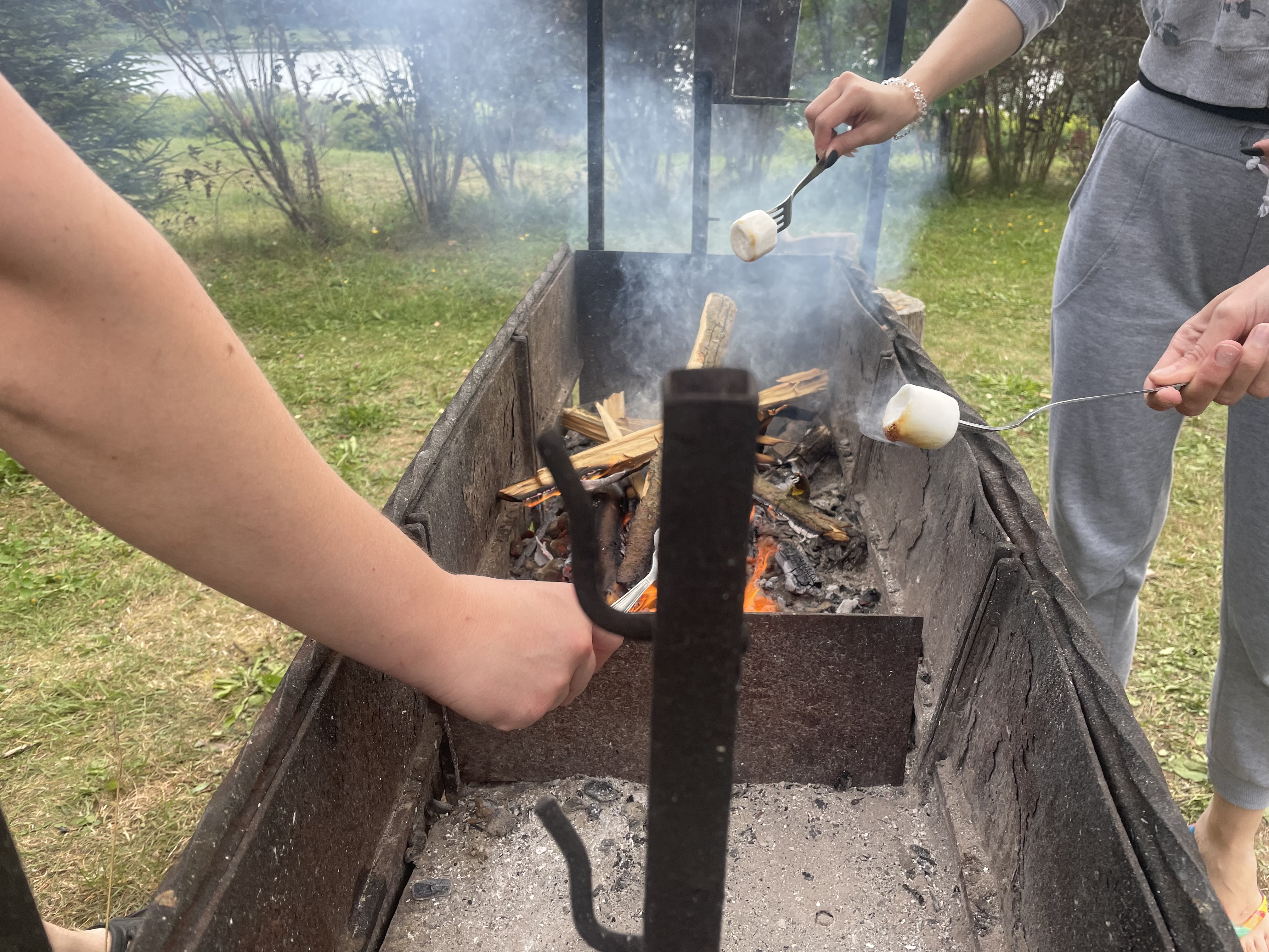 Фото Селигерская пасека