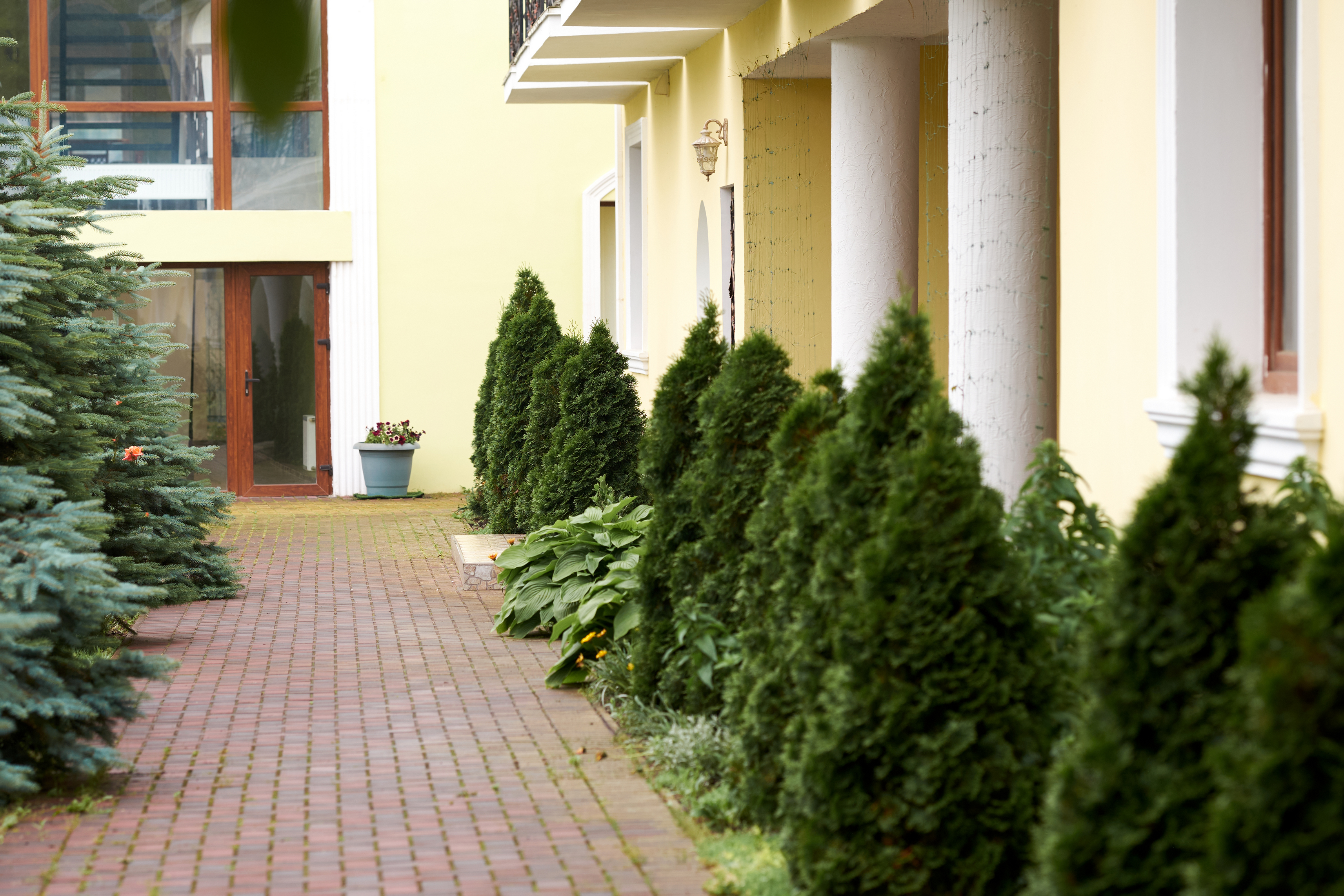 Фото Русская усадьба