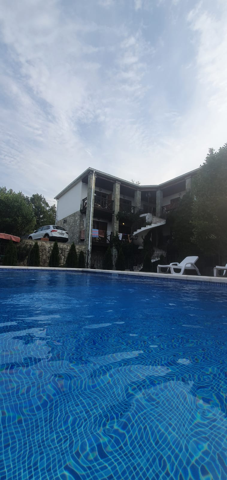 Фото Альбатрос