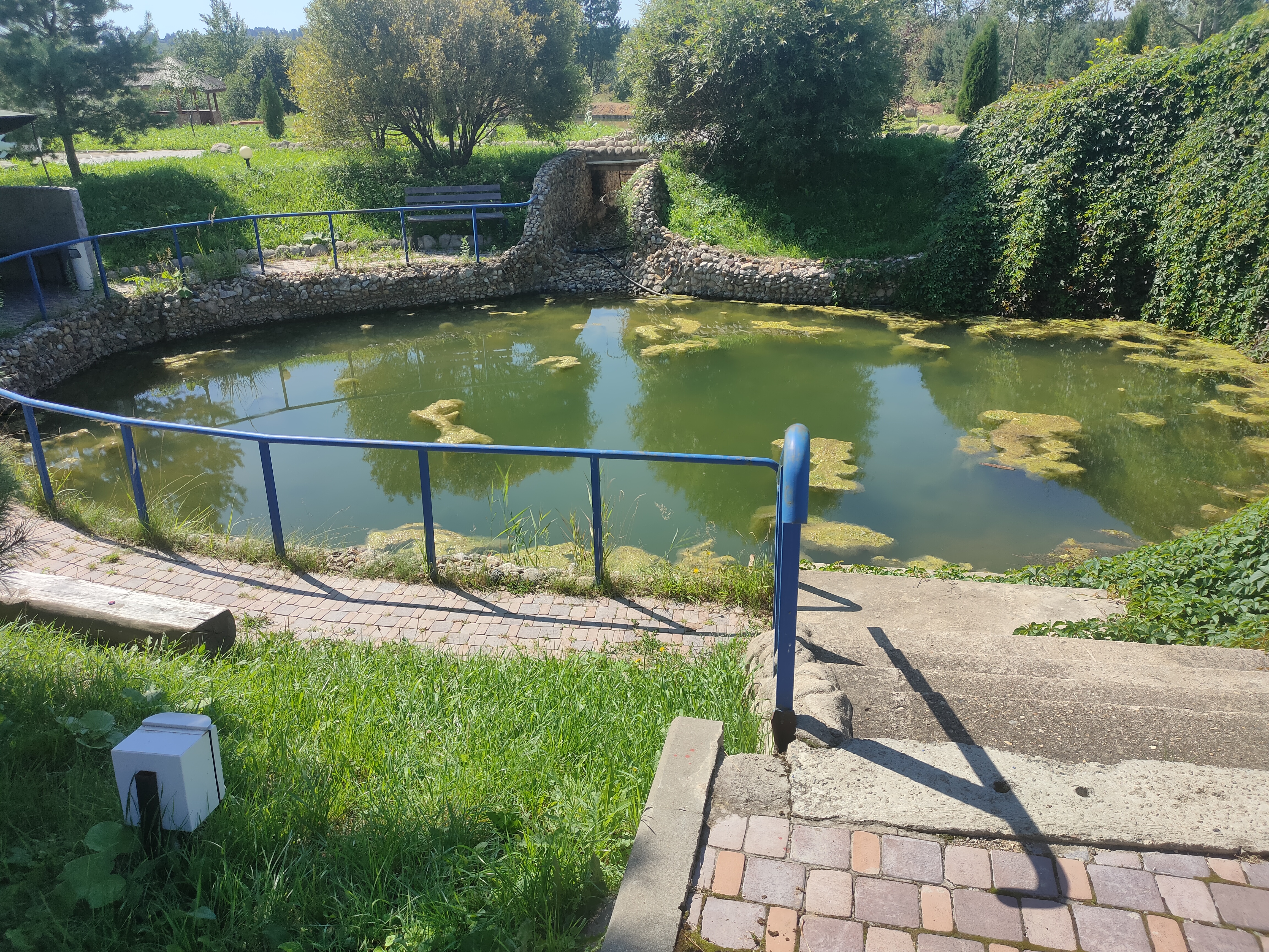 Фото Амфора