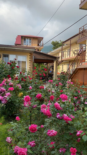 Гостиница Guest House U Marusi в Геленджике