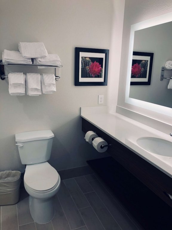 Фото Best Western Plus Desert View Inn & Suites