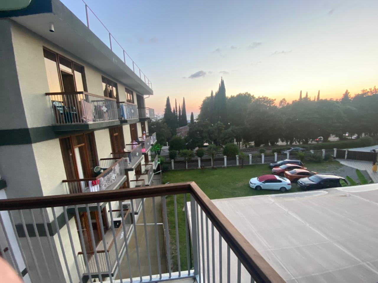 Фото Пальма