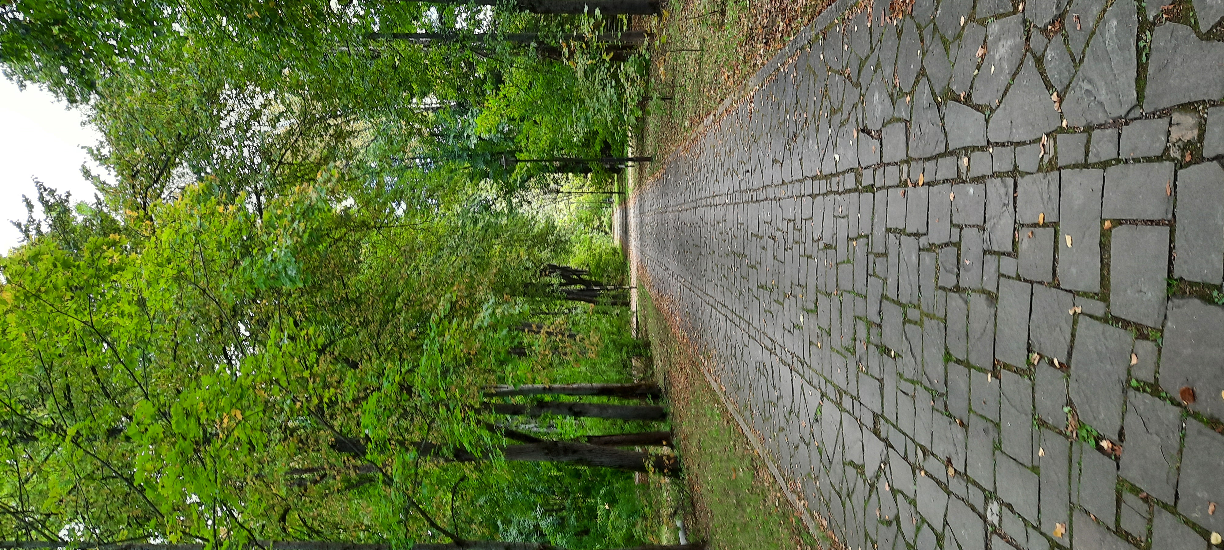 Фото Архангельская дача