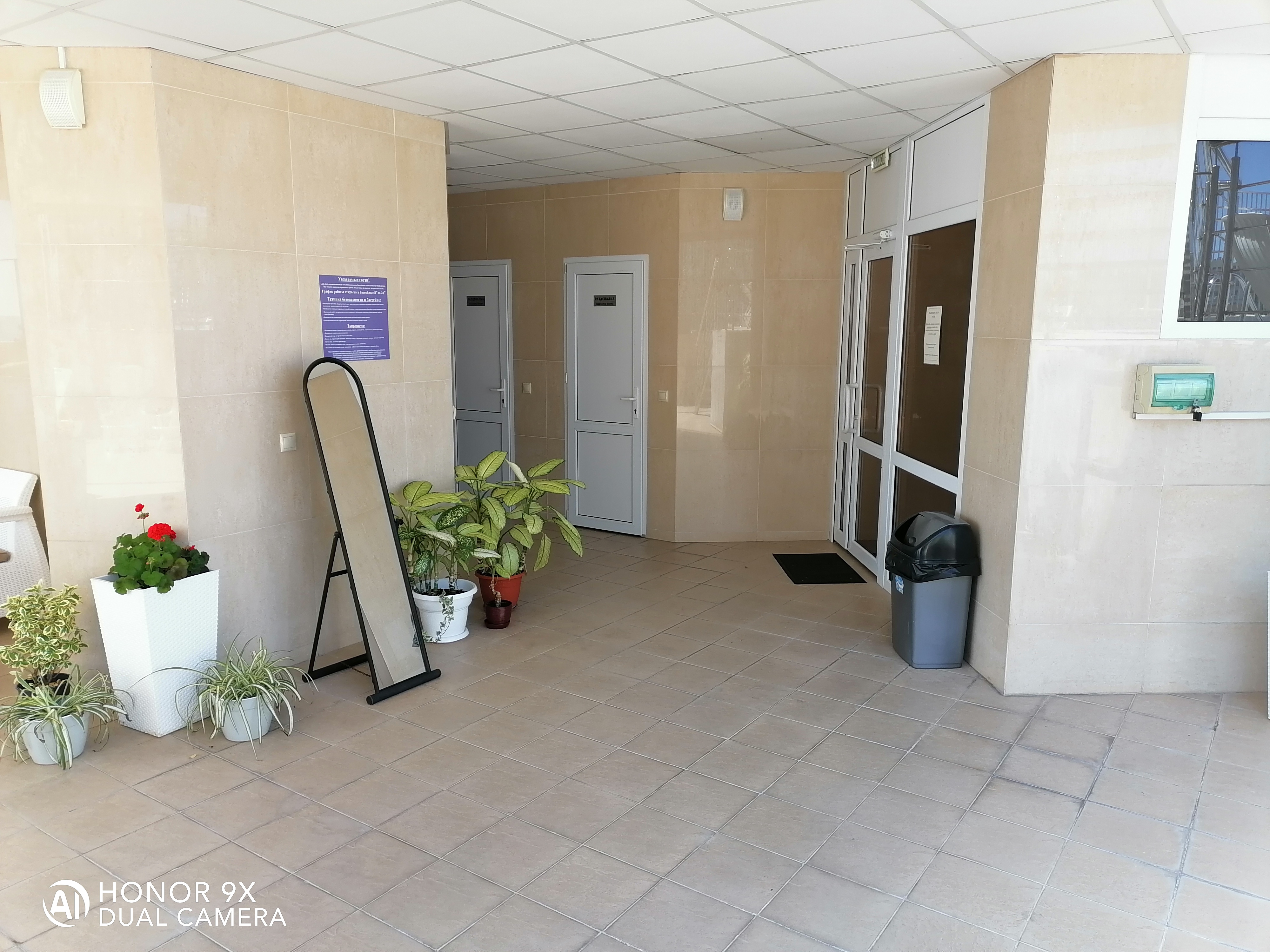 Фото Соната