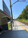 Malinovka Station (Kaliningrad Region, Zelenogradsk, posyolok Malinovka, Primorskaya ulitsa), train station