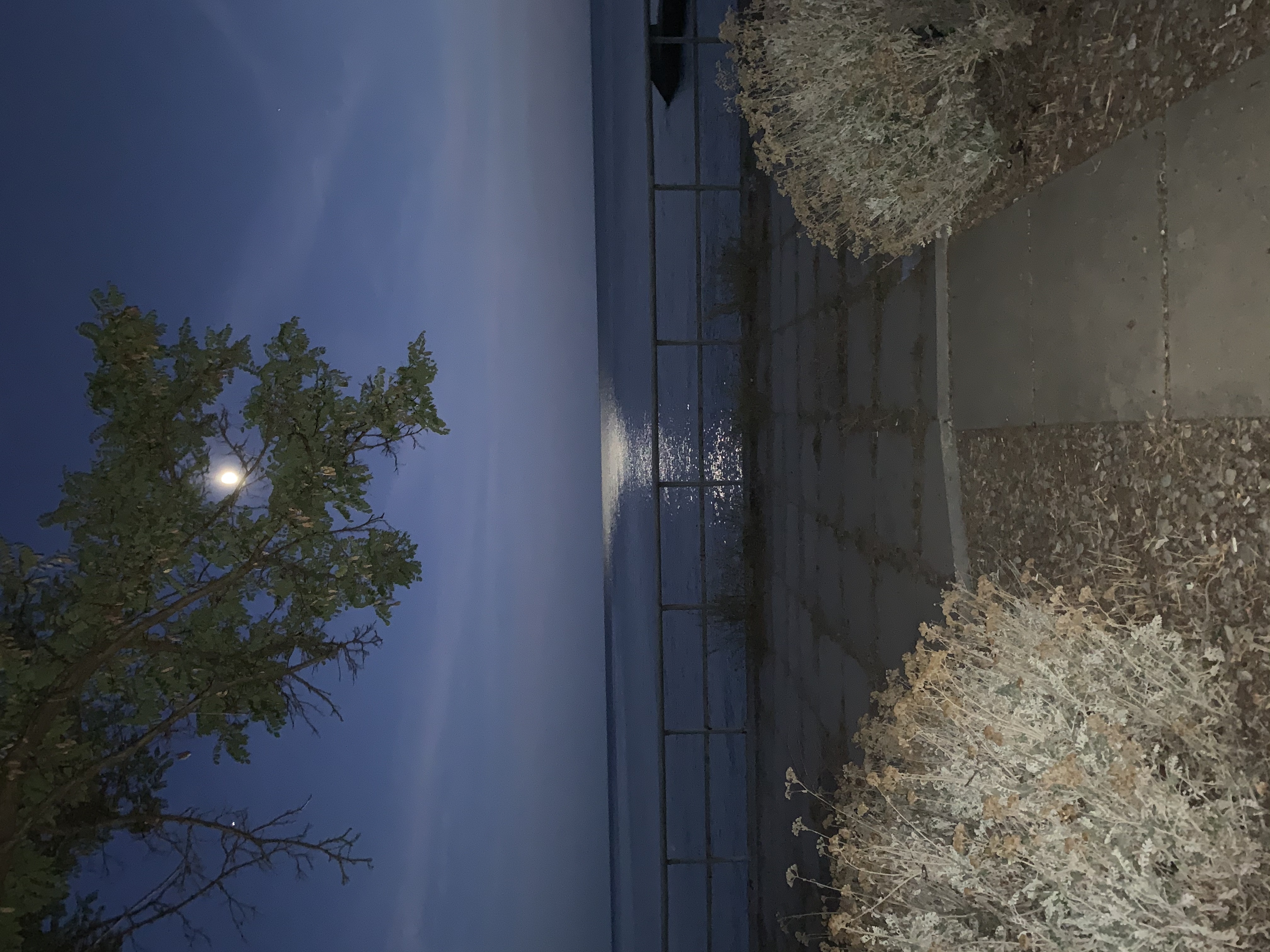 Фото Легенда