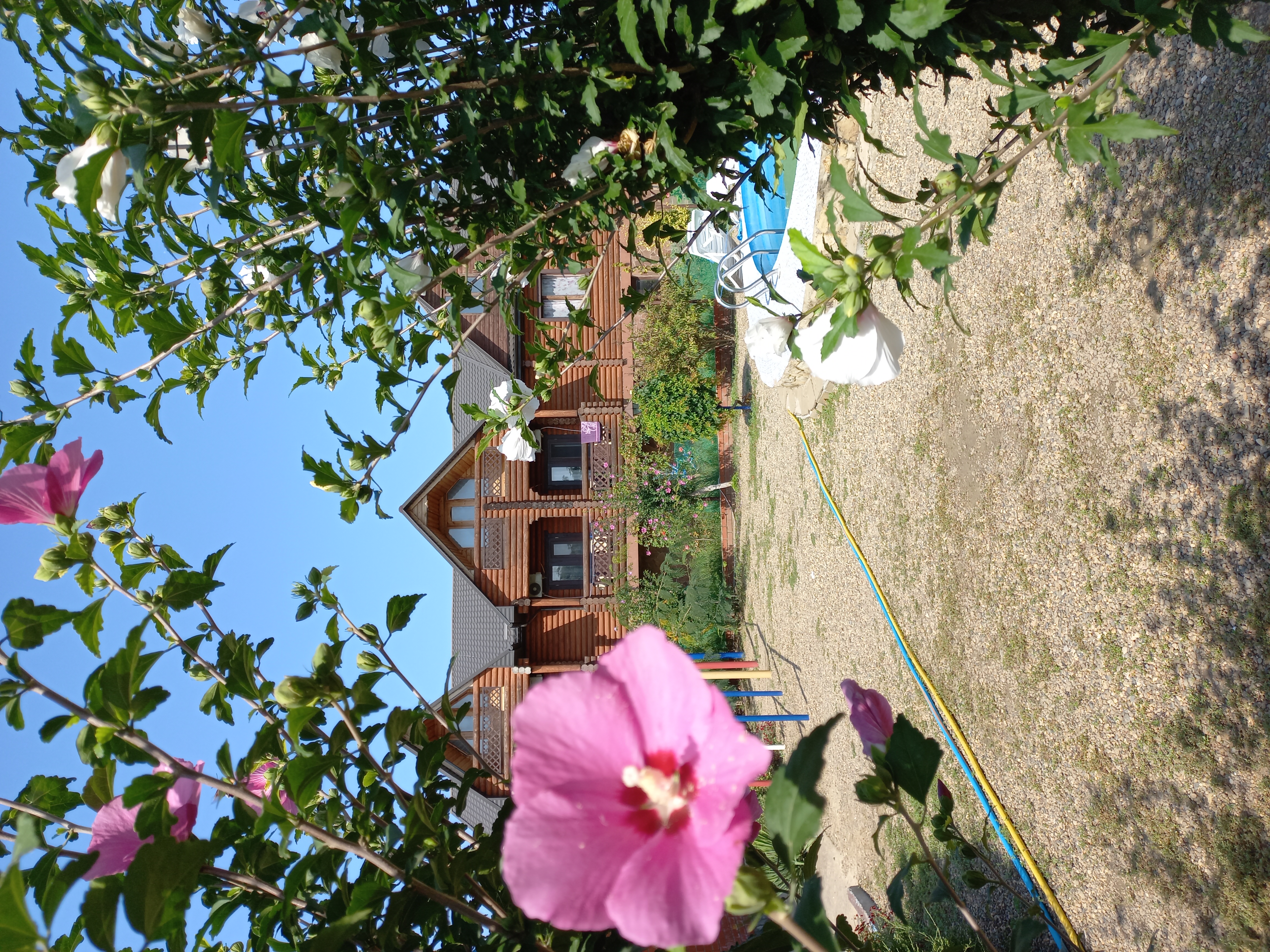 Фото Чудная Долина