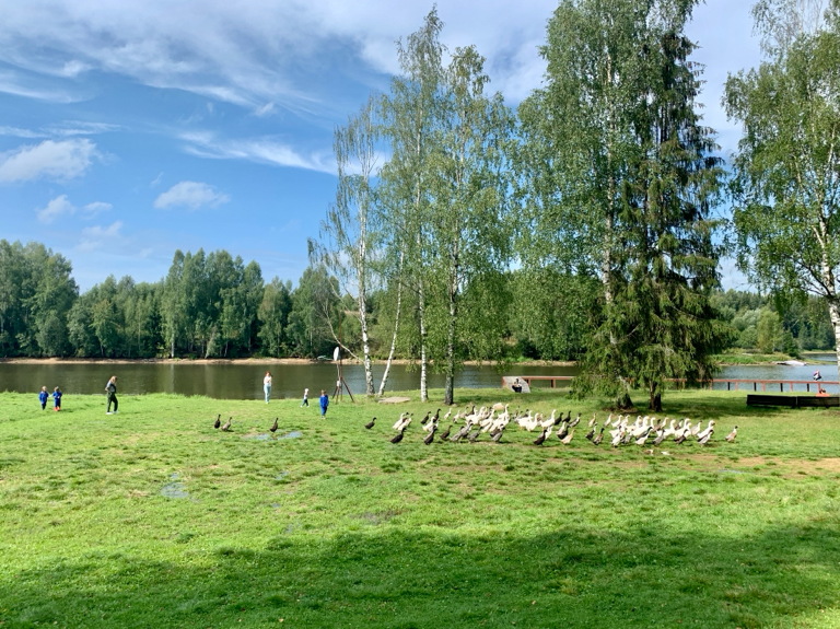 Фото Фермерская усадьба Лесной Берег