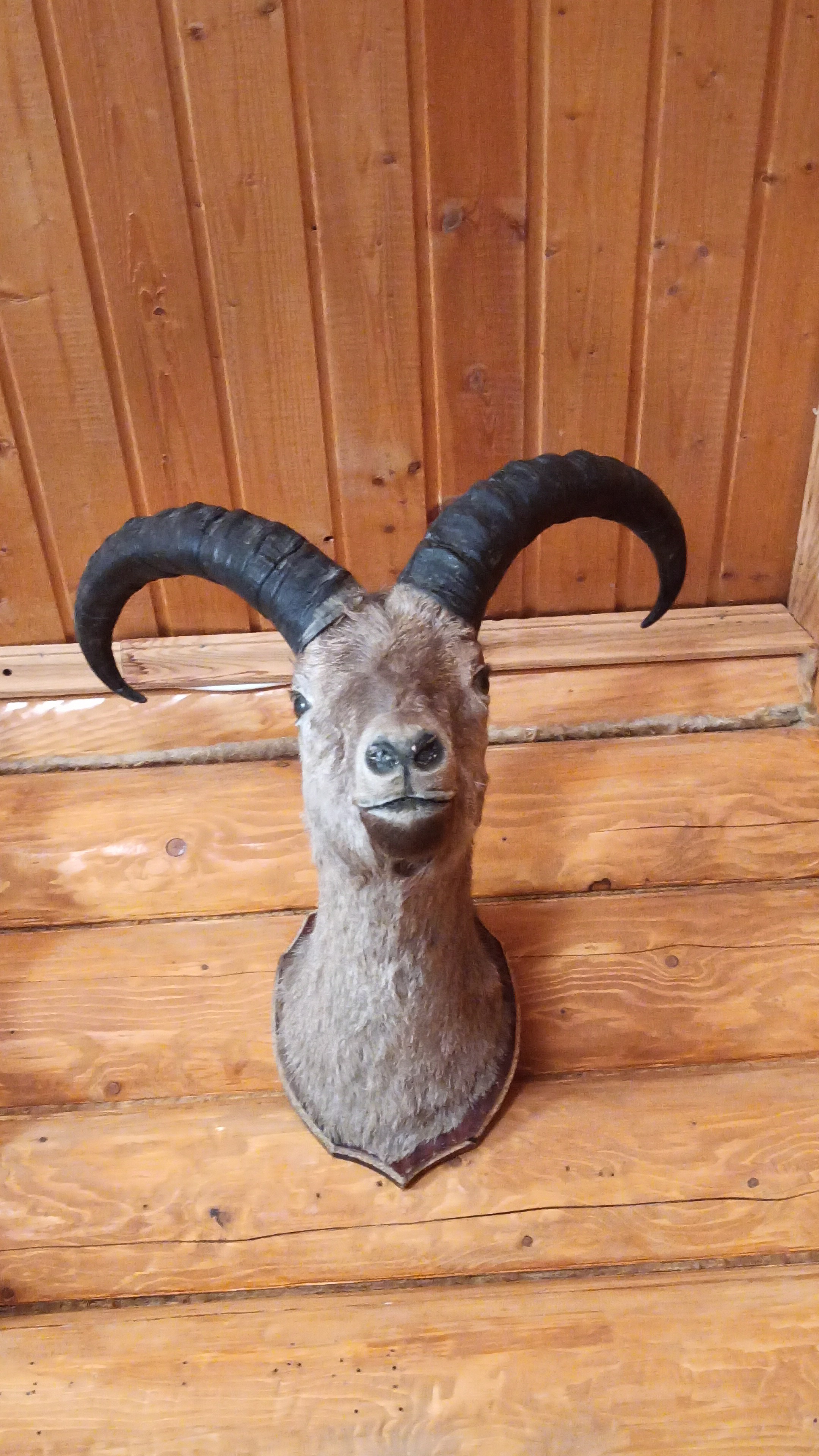 Фото Орловский пруд