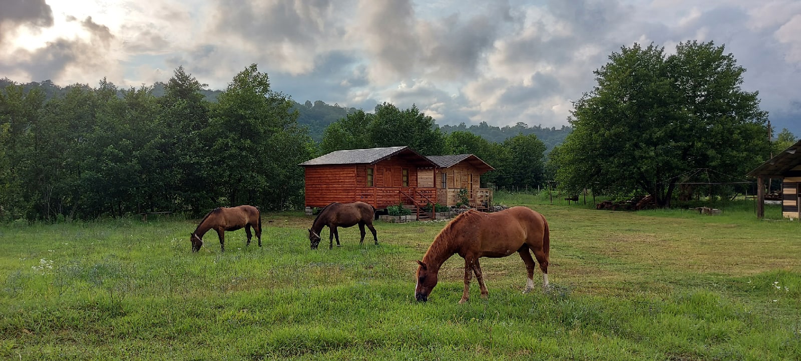 Фото Страна Души