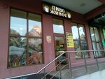Beer Pub (Mamaika Microdistrict, Volzhskaya Street, 38), bar, pub