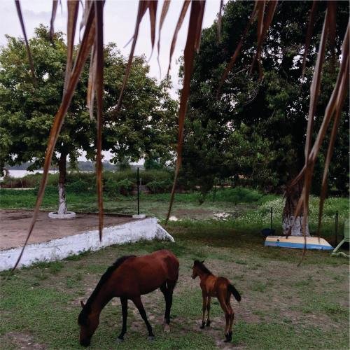 Фото Pousada Marajoara